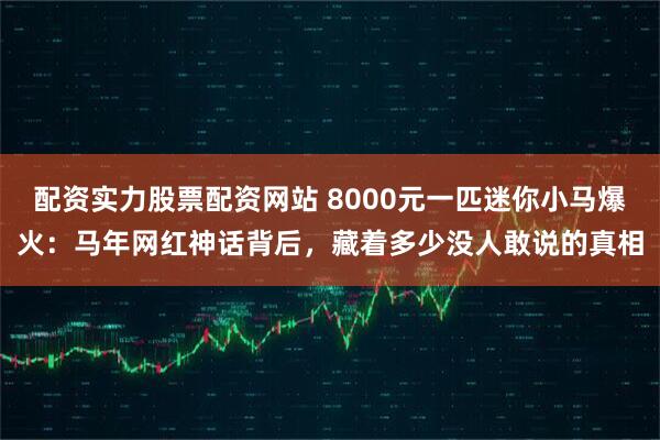 配资实力股票配资网站 8000元一匹迷你小马爆火：马年网红神话背后，藏着多少没人敢说的真相