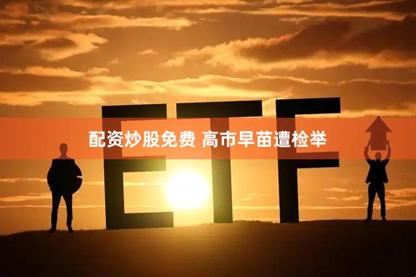 配资炒股免费 高市早苗遭检举