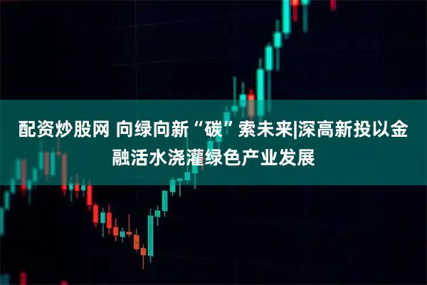 配资炒股网 向绿向新“碳”索未来|深高新投以金融活水浇灌绿色产业发展